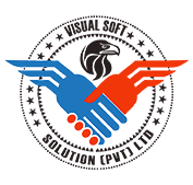 Visual Soft Logo